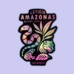 IMÁN LETICIA AMAZONAS NEGRO TORNASOL