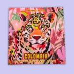 PAÑO LIMPIAGAFAS JAGUAR