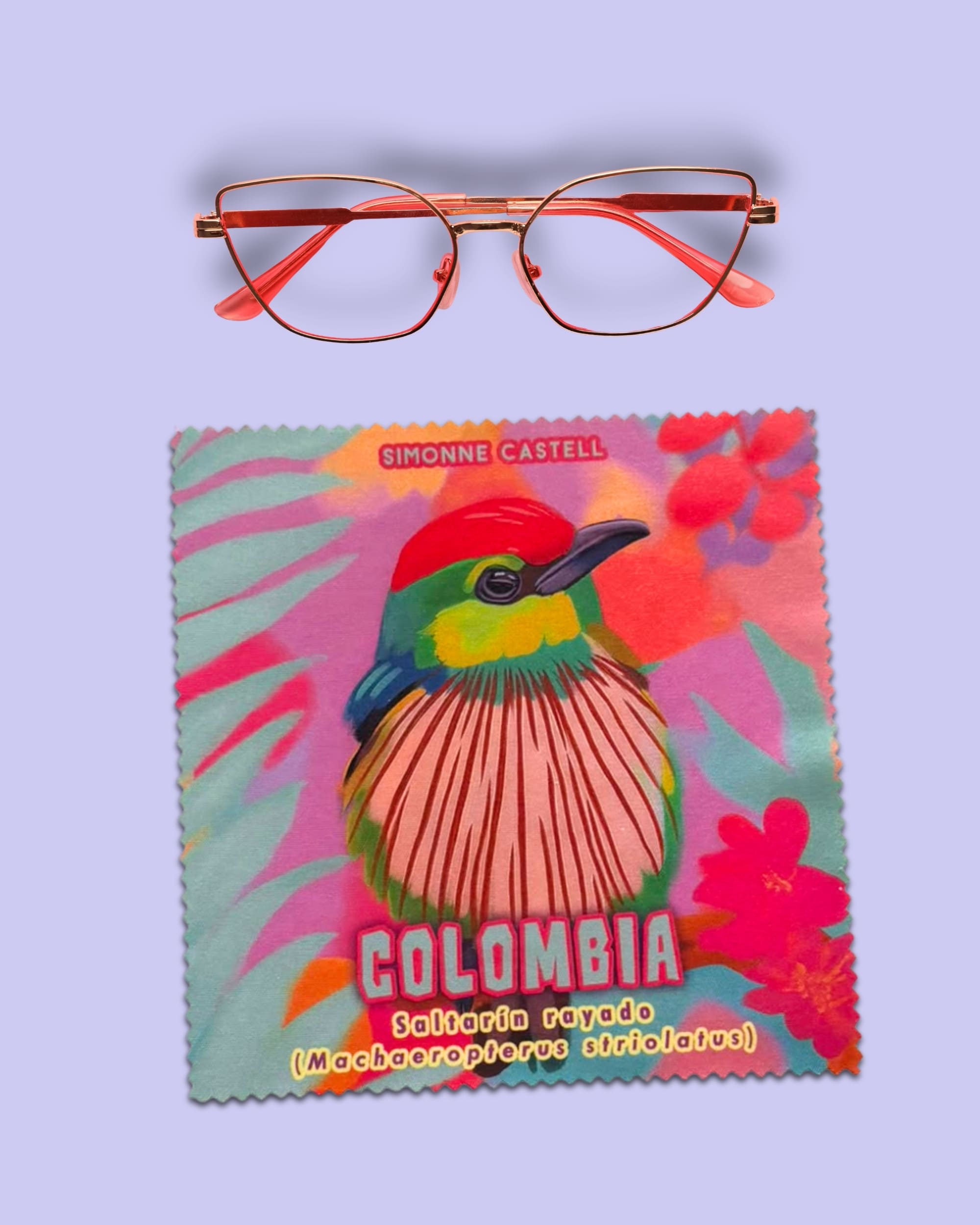 PAÑO LIMPIAGAFAS PÁJARO SALTARÍN RAYADO - Imagen 2